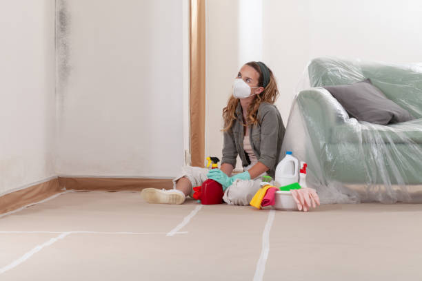 Reliable Mold Cleanup contractor in Marion, VA by WQB Mold Removal